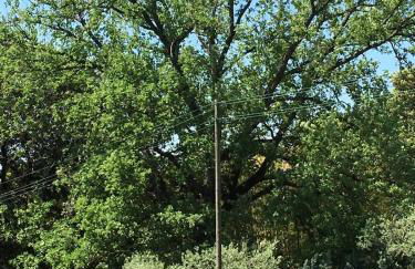 La Grande Quercia - Foto 15