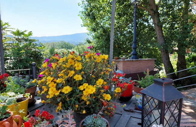 Country House Bosco d'Olmi - Photo 76