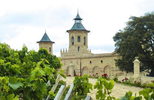 Semi-detached House on a Vineyard, Talais - Foto 37