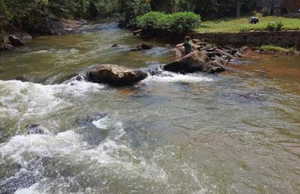 Sítio Canto das Águas - Foto 9