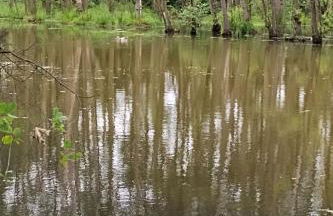 Holiday Home Itzinger by Interhome - Foto 30