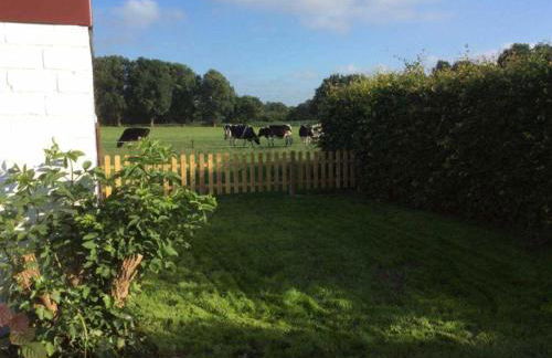 Ferienhuus Schwalbennüst, 15183 - Foto 1