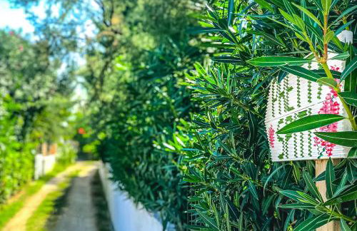 PRETTY SPITI Holiday Retreat - Photo 57