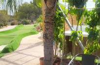 Casa del sol, Las Ocas urbanizacion,2 bedrooms , 2 bathrooms,solarium ,nice swimming pool and barbecue - Foto 41