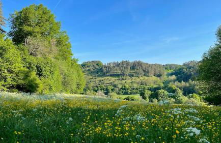 Auszeit im Heinental - Foto 22