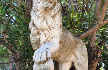 Villa les palmiers -Stretta di i mandarini - Foto 21