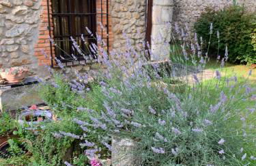 Casa Rural Erre Q Erre - Foto 41