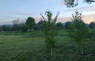 Zacisze Na Polach - Foto 22