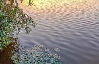 Apartment 3 in Altstadt in Angermünde - Photo 23