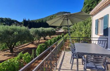 Domaine de la Navicelle - Foto 56