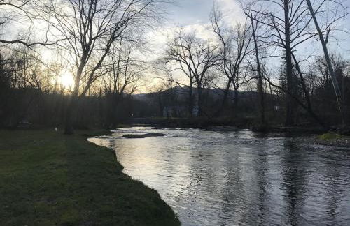 DO NOT Book property sold requested removal multiple times without luck Shenandoah NP Old Rag and White Oak Canyon - Foto 17