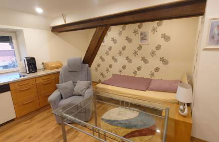 Apartment 2 Zum Kuhstall Heinrichsberg - Magdeburg - Foto 7