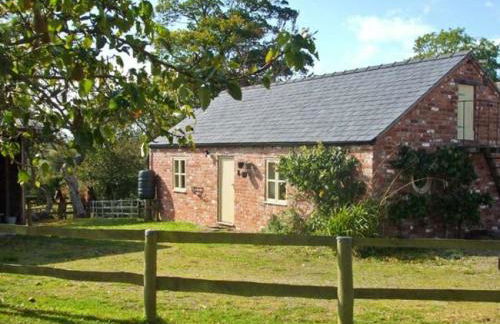 Little Pentre Barn with cozy logburner - Foto 67