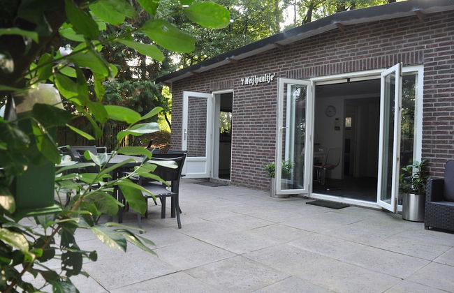 Cottage in Leenderstrijp Near Nature Reserve - Foto 19