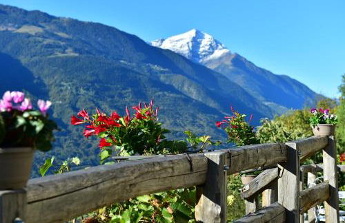 RUSTICO VIGNA casa vacanze - Foto 23