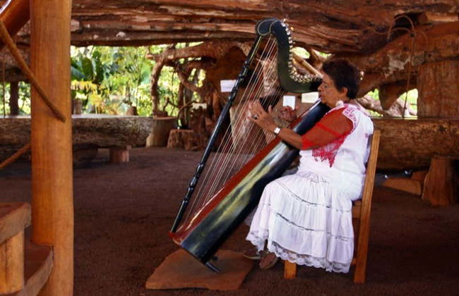 Excursión a Puerto Iguazú - Foto 4