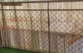 AMORE MÍO Hellín - Foto 12