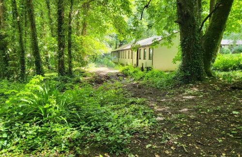 Bumbeldink - Foto 37