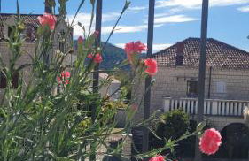 Villa Pero & Jele - Foto 20