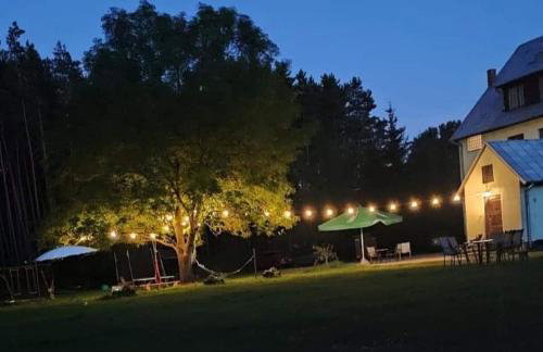 Gościniec IBIS - Foto 1