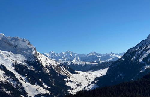 Les bouquetins - Foto 44