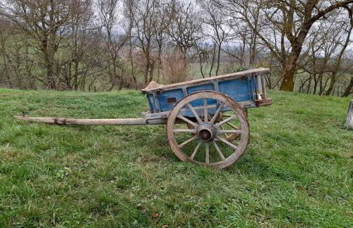 Chalet La clef des champs - Vue Imprenable - Piscine - Photo 28