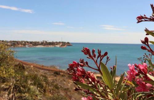 Lobo en Cabo Apartment, Cabo Roig , Orihuela Costa - Photo 33