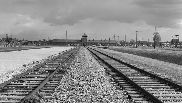 Visite guidée d'Auschwitz Birkenau avec transfert privé - Photo 3