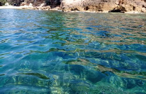 Perla de Mar - Foto 49