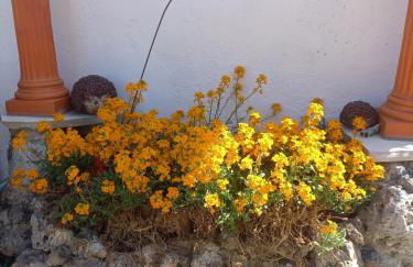 Ferienwohnung Lerchennest - Foto 10