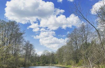 Masuria Warsaw Family - dom na wyłączność - w lesie i przy rzece - 15 min od Warszawy - idealny dla rodzin z dziećmi - Foto 48