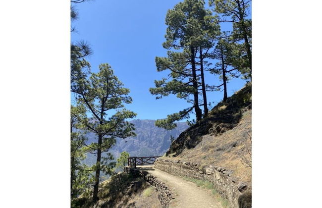 Gran Villa Palmera - Foto 14