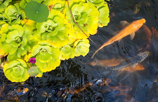 Villa Seriska Satu Sanur Bali - Foto 52