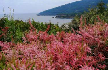 Villa Perla - Foto 22