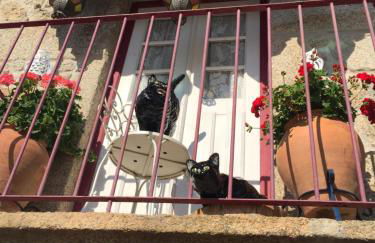 Casa de David - Foto 22