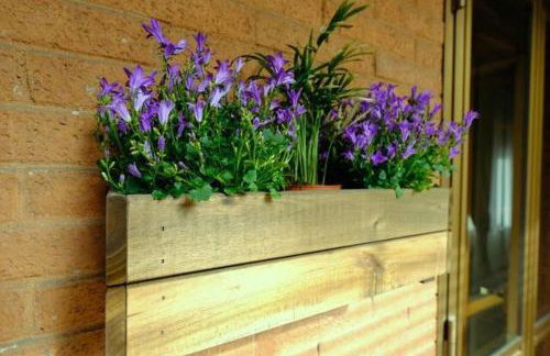 Florence Fevira Airport - Foto 23