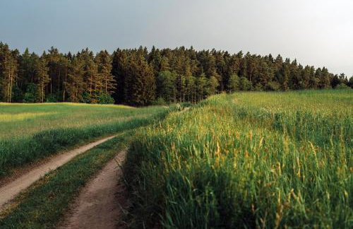 Pod tulipanem nad jeziorem - Foto 15