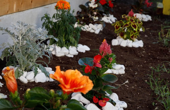 AFFITTACAMERE VILLA SANTA LUCIA - Photo 30