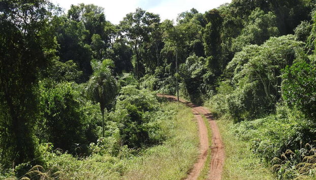 San Lorenzo Natural Reserve Horseback Riding - Photo 2, Landscapes of the San Lorenzo Reserve