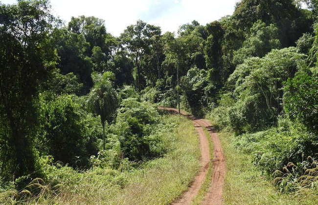 San Lorenzo Natural Reserve Horseback Riding - Foto 2