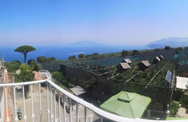 Agriturismo Il Giardino di Vigliano - Foto 17