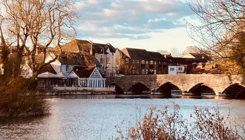 In the heart of the new forest - Foto 2