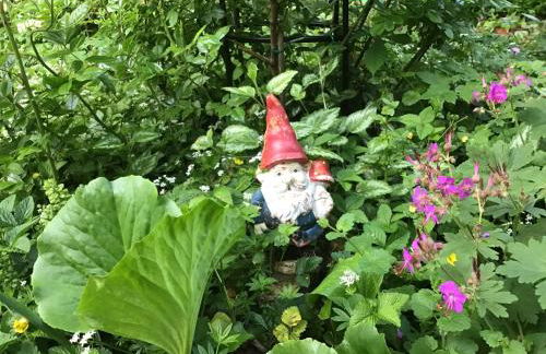 Stilvolles Appartment in zentraler Lage - Foto 8