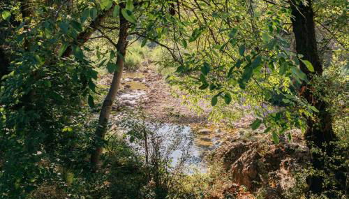 El Molí Nou - Rural flats - Foto 4