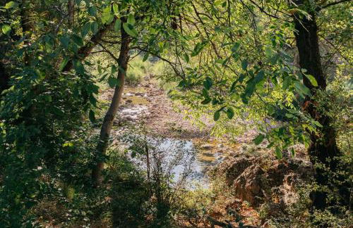 El Molí Nou - Rural flats - Foto 4