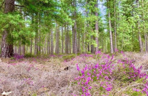 Château Wellness Exclusif - Yoga et Événements Luxe, Loire Valley - Photo 74
