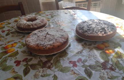 Agriturismo da Remo - Foto 14