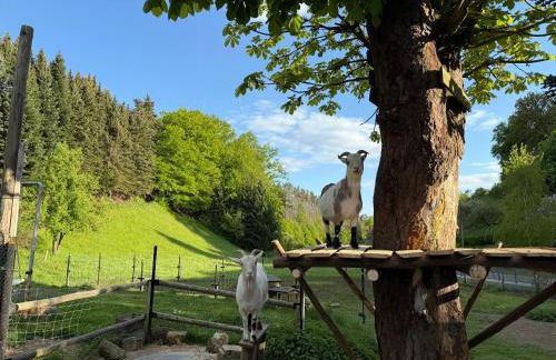 Naturhof Kluge - Foto 55