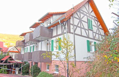 SCHUSTERjunge Aparthotel I Zentral I Studio Apartments I Küche & Bad I Parkplatz - Foto 153