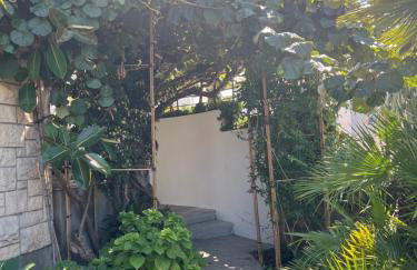 Apartman Mladenka - Foto 22